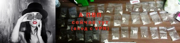 бошки Лабытнанги