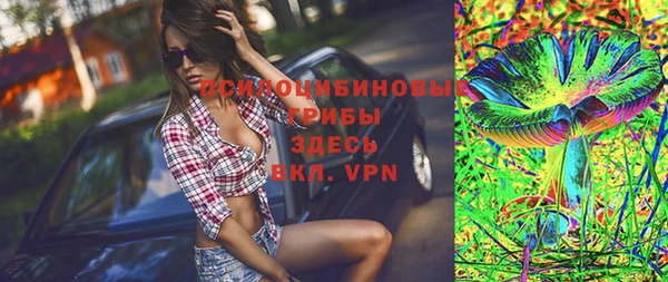 бошки Лабытнанги