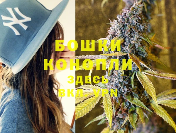 2c-b Лагань