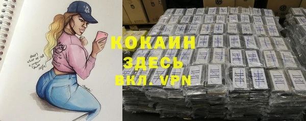 бошки Лабытнанги