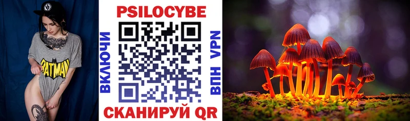 Псилоцибиновые грибы Psilocybe  Ростов-на-Дону 