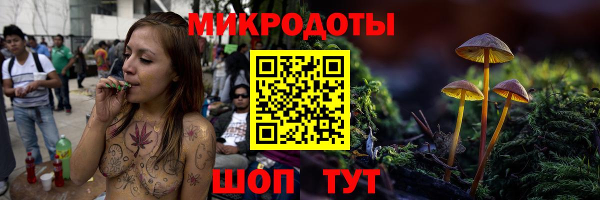 Псилоцибиновые грибы Psilocybine cubensis Ростов-на-Дону