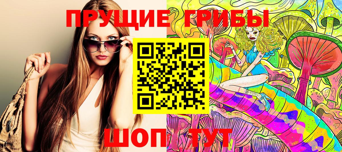 Ростов-на-Дону  магазин    Вход с VPN  Галлюциногенные грибы Cubensis 